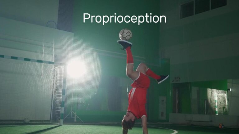 What is Proprioception?